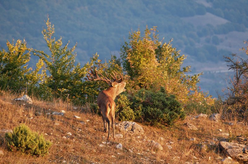 Equinozio d''autunno